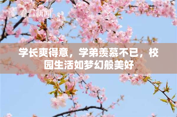 学长爽得意，学弟羡慕不已，校园生活如梦幻般美好