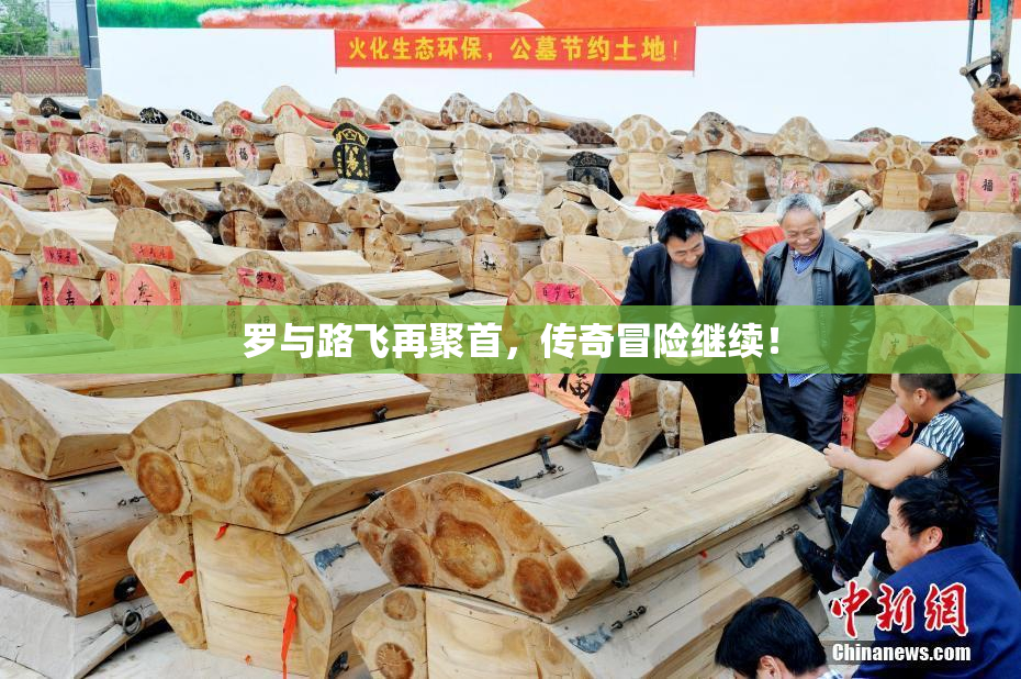 罗与路飞再聚首，传奇冒险继续！