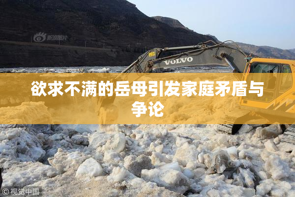 欲求不满的岳母引发家庭矛盾与争论