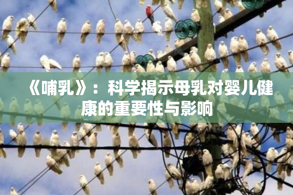 《哺乳》：科学揭示母乳对婴儿健康的重要性与影响
