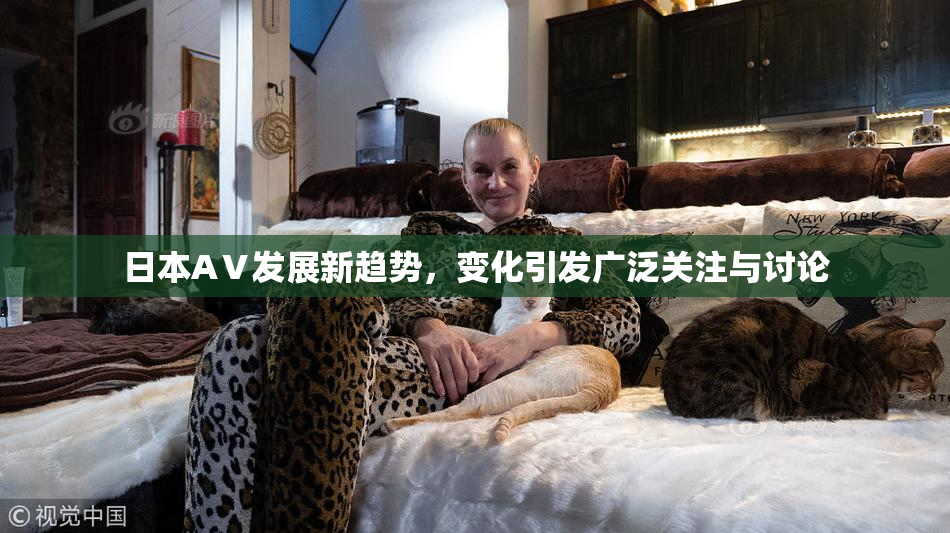 日本AⅤ发展新趋势，变化引发广泛关注与讨论