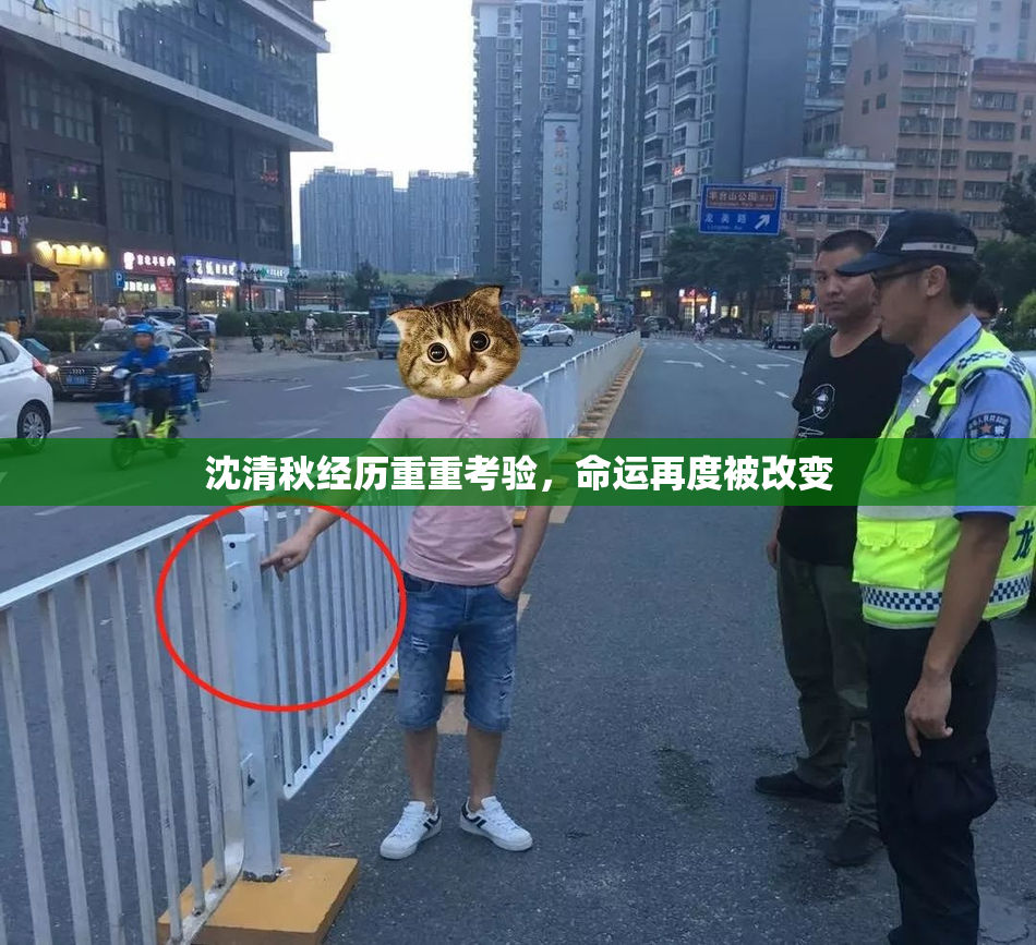 沈清秋经历重重考验，命运再度被改变
