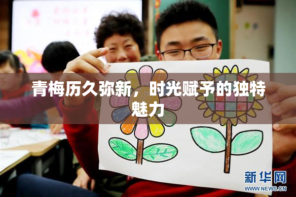 青梅历久弥新，时光赋予的独特魅力