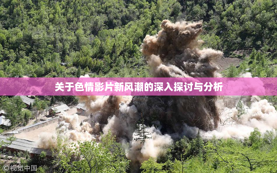 关于色情影片新风潮的深入探讨与分析
