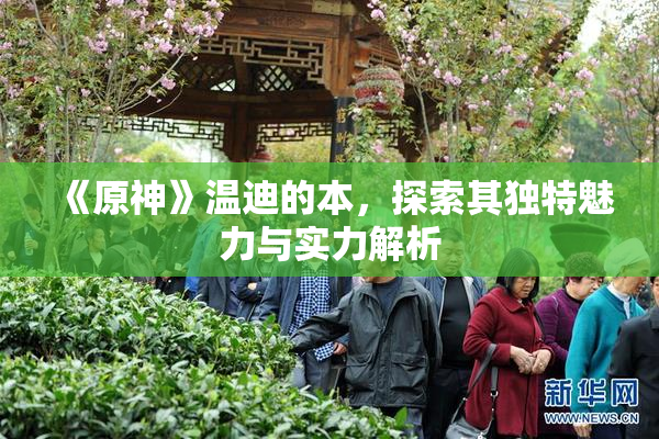 《原神》温迪的本，探索其独特魅力与实力解析