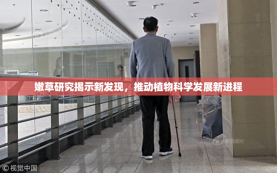 嫩草研究揭示新发现，推动植物科学发展新进程