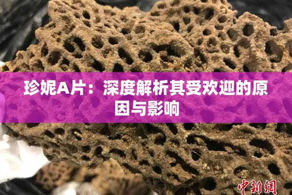 珍妮A片：深度解析其受欢迎的原因与影响