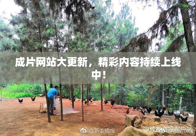 成片网站大更新，精彩内容持续上线中！