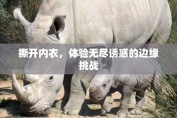 撕开内衣，体验无尽诱惑的边缘挑战