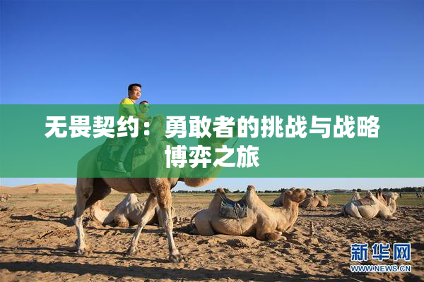 无畏契约：勇敢者的挑战与战略博弈之旅