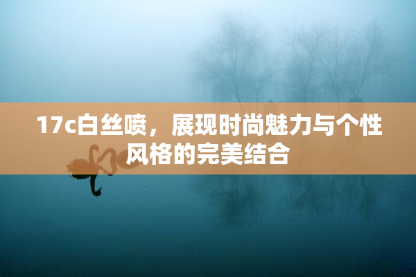 17c白丝喷，展现时尚魅力与个性风格的完美结合