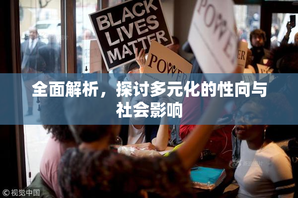 全面解析，探讨多元化的性向与社会影响