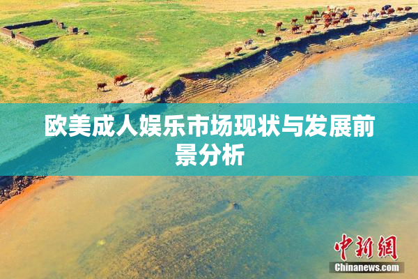 欧美成人娱乐市场现状与发展前景分析