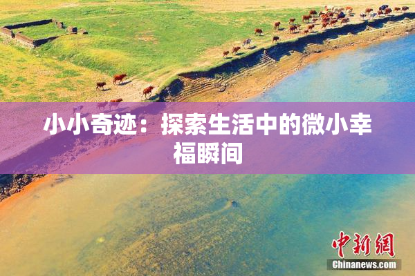 小小奇迹：探索生活中的微小幸福瞬间