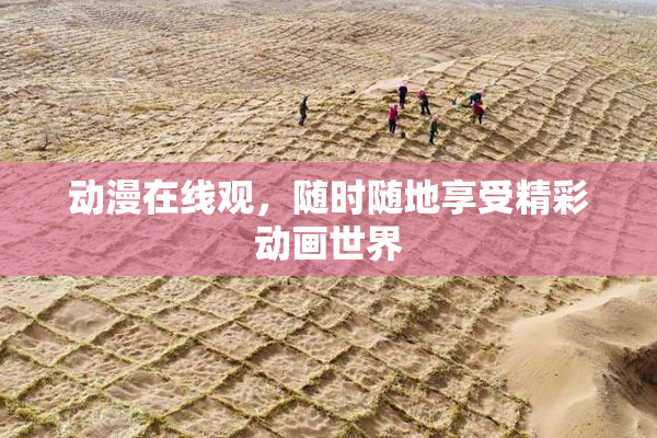 动漫在线观，随时随地享受精彩动画世界