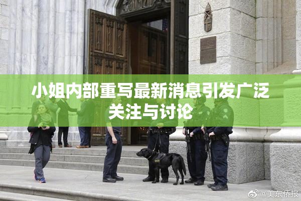小姐内部重写最新消息引发广泛关注与讨论