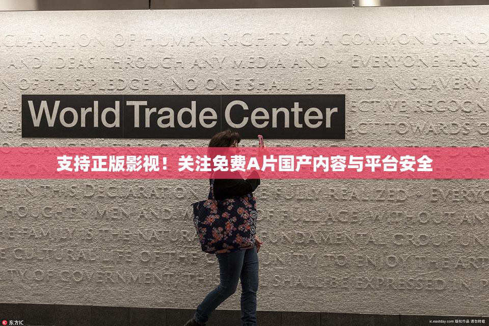 支持正版影视！关注免费A片国产内容与平台安全