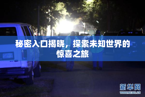 秘密入口揭晓，探索未知世界的惊喜之旅