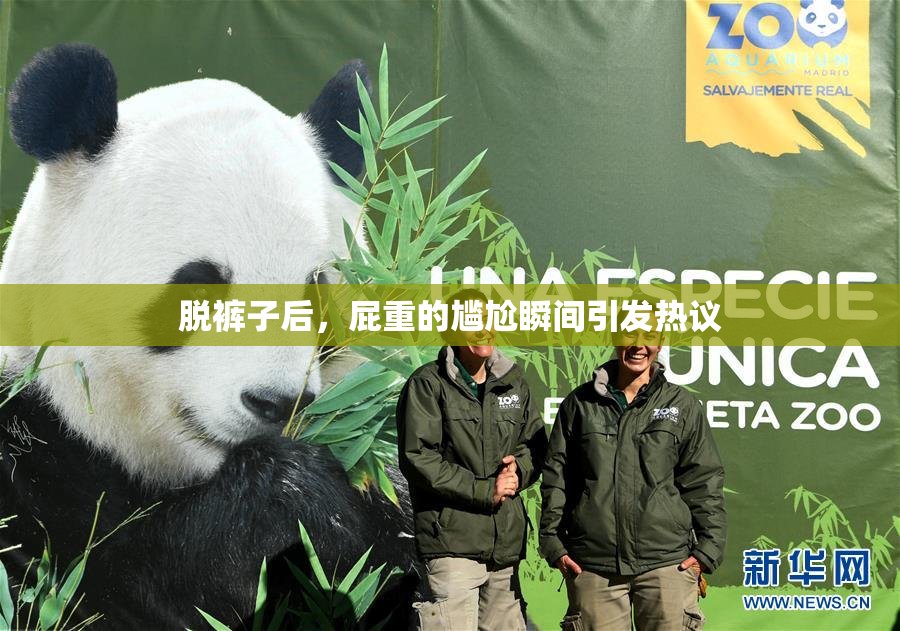 脱裤子后，屁重的尴尬瞬间引发热议