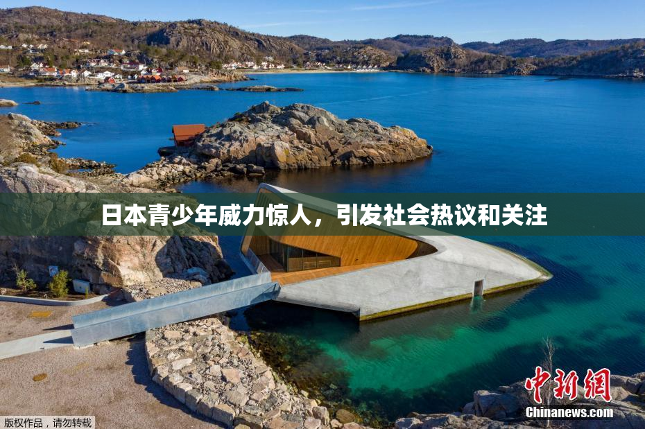 日本青少年威力惊人，引发社会热议和关注