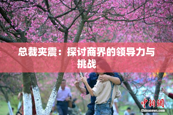 总裁夹震：探讨商界的领导力与挑战