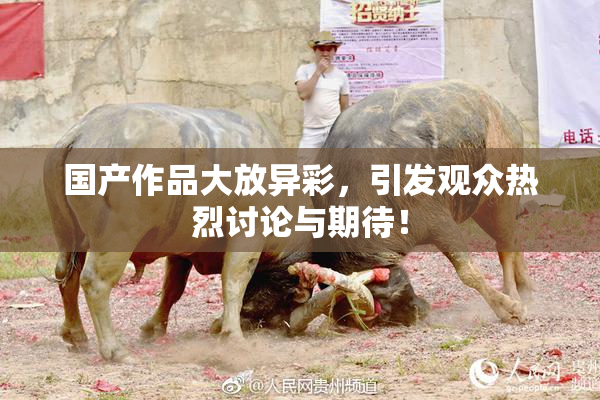 国产作品大放异彩，引发观众热烈讨论与期待！