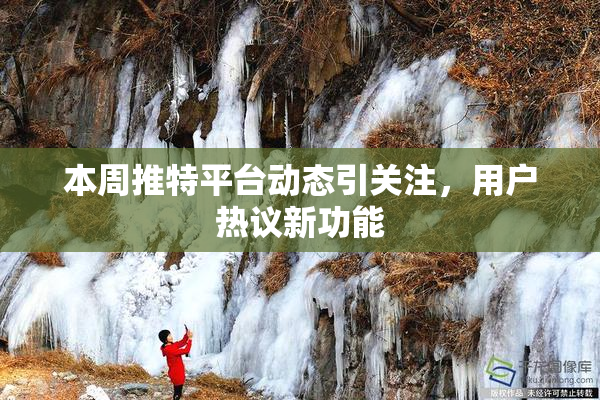 本周推特平台动态引关注，用户热议新功能