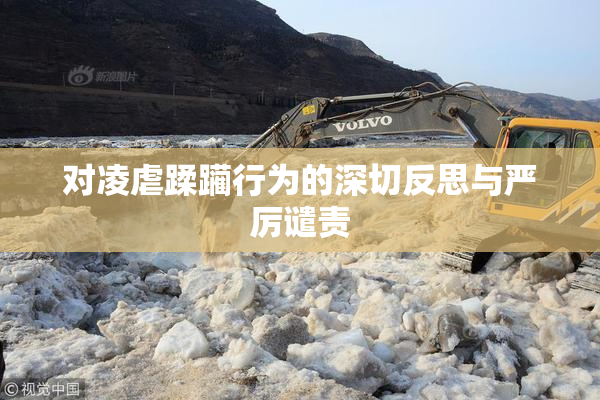 对凌虐蹂躏行为的深切反思与严厉谴责