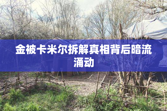 金被卡米尔拆解真相背后暗流涌动