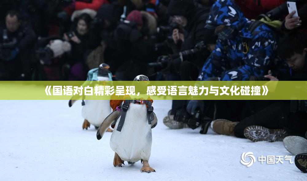 《国语对白精彩呈现，感受语言魅力与文化碰撞》