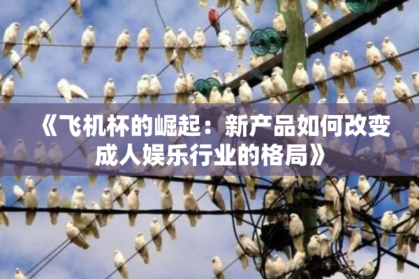 《飞机杯的崛起：新产品如何改变成人娱乐行业的格局》