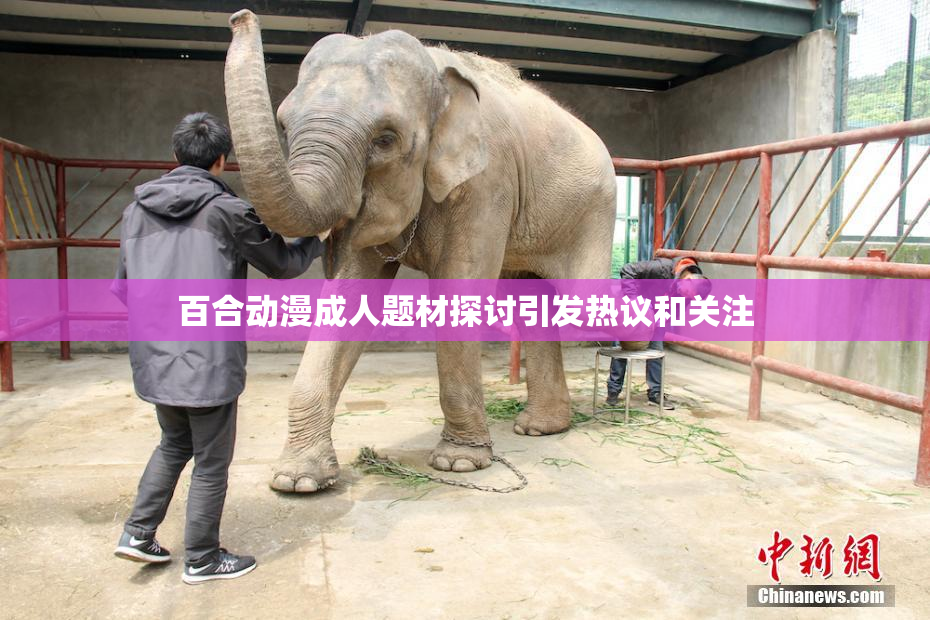 百合动漫成人题材探讨引发热议和关注