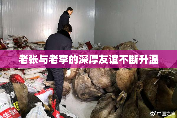 老张与老李的深厚友谊不断升温