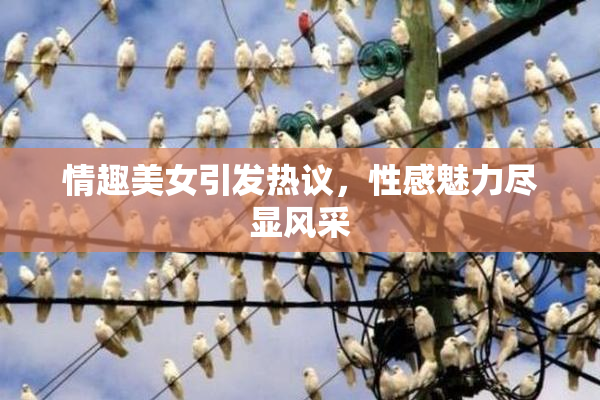 情趣美女引发热议，性感魅力尽显风采