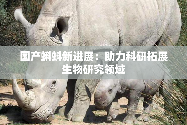 国产蝌蚪新进展：助力科研拓展生物研究领域