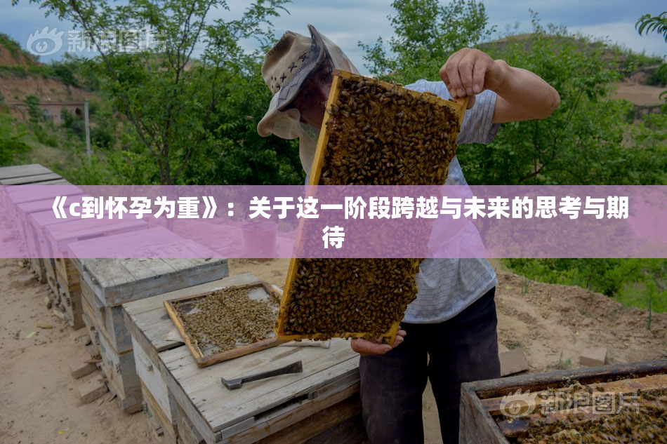 《c到怀孕为重》：关于这一阶段跨越与未来的思考与期待