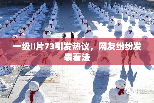 一级婬片73引发热议，网友纷纷发表看法