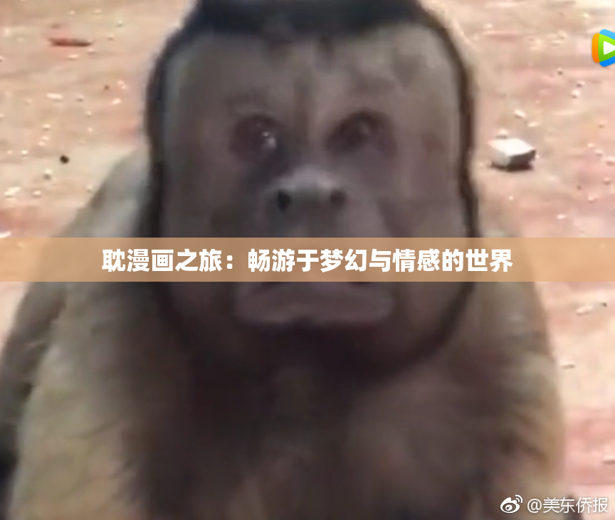 耽漫画之旅：畅游于梦幻与情感的世界