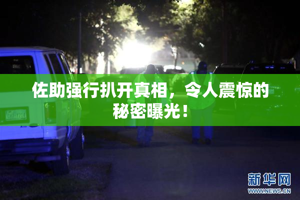 佐助强行扒开真相，令人震惊的秘密曝光！