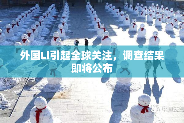外国Li引起全球关注，调查结果即将公布