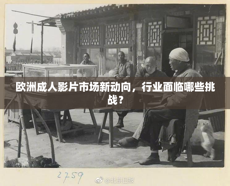 欧洲成人影片市场新动向，行业面临哪些挑战？