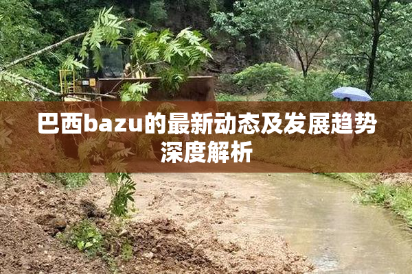 巴西bazu的最新动态及发展趋势深度解析