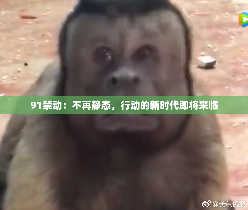 91禁动：不再静态，行动的新时代即将来临