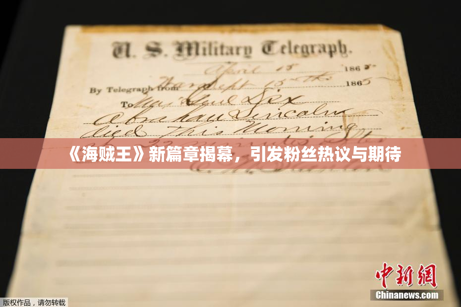 《海贼王》新篇章揭幕，引发粉丝热议与期待