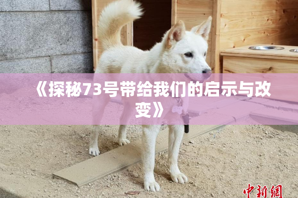 《探秘73号带给我们的启示与改变》