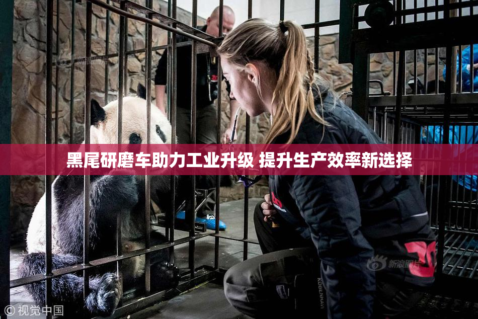 黑尾研磨车助力工业升级 提升生产效率新选择