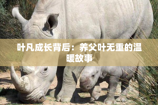 叶凡成长背后：养父叶无重的温暖故事