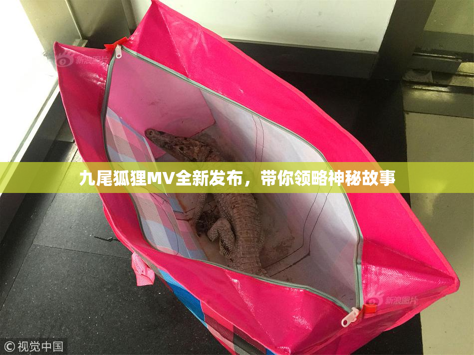 九尾狐狸MV全新发布，带你领略神秘故事