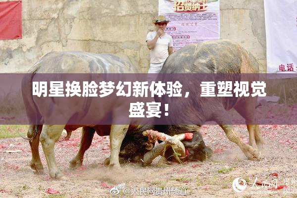 明星换脸梦幻新体验，重塑视觉盛宴！