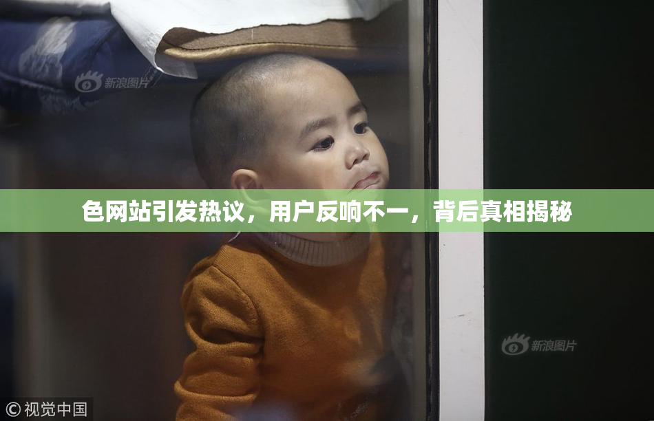 色网站引发热议，用户反响不一，背后真相揭秘